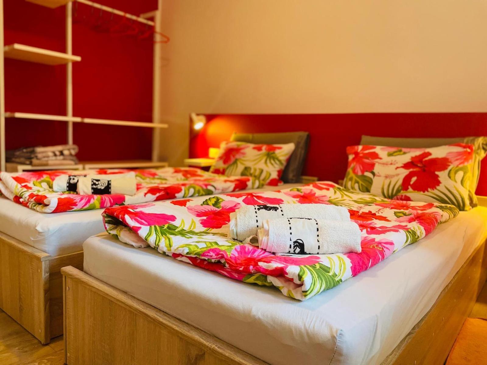 Boutique Apartment With Private Pool For Your Exclusive Use Novigrad Istria Exterior foto